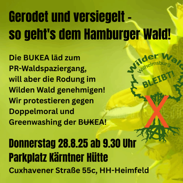 Gerodet und versiegelt - so geht es dem Hamburger Wald!