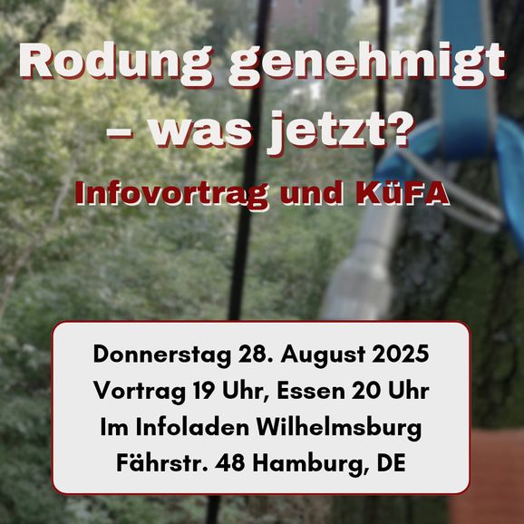 Rodung genehmigt - was jetzt?