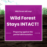 Wild Forest Will Stay! Wild forest stays intact! Preparing for the partial deforestation.