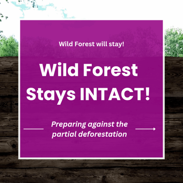Wild Forest Will Stay! Wild forest stays intact! Preparing for the partial deforestation.