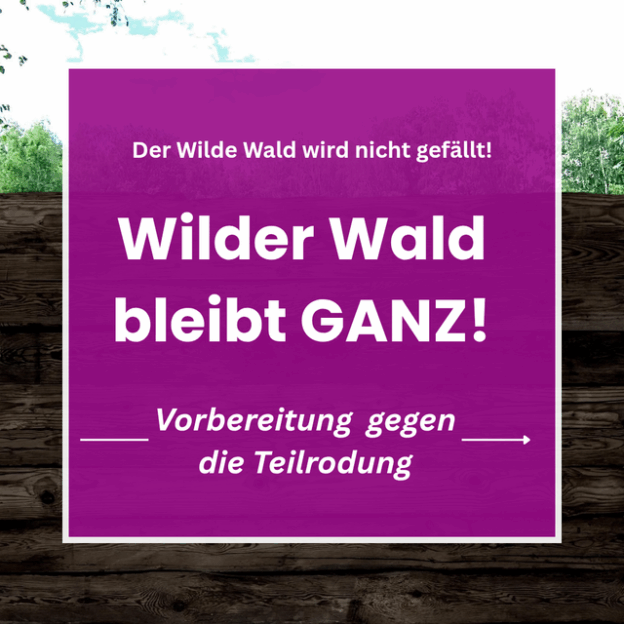 Der Wilde Wald wird nicht gefällt! Wilder Wald bleibt ganz! Vorbereitung gegen die Teilrodung