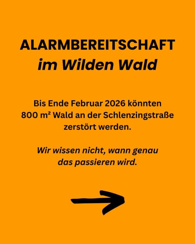 Alarmbereitschaft im Wilden Wald