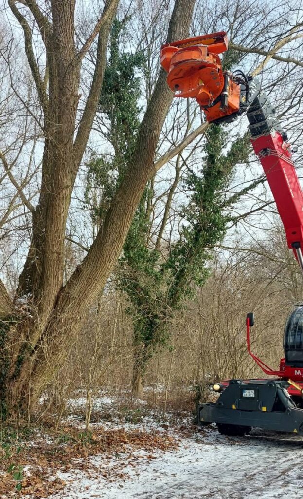 Harvester neben der zweiten Weide