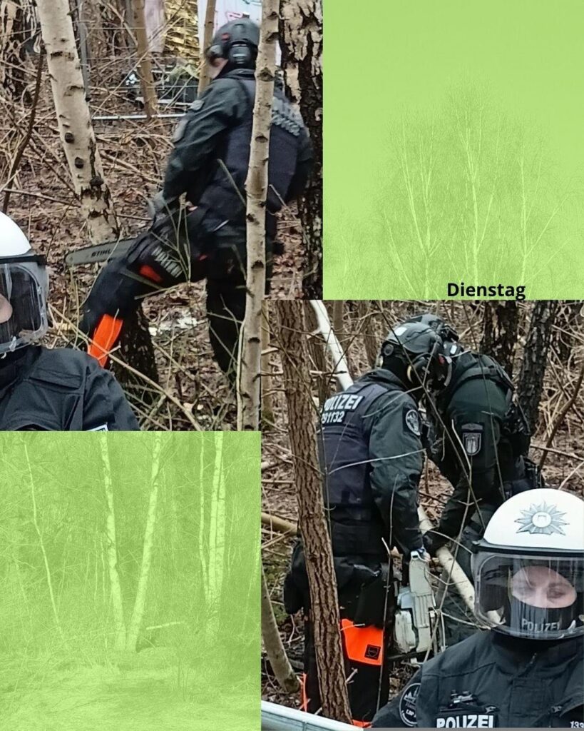 Zwei Fotos von einem Cop, wie er mit einer Kettensäge einen Baum fällt.