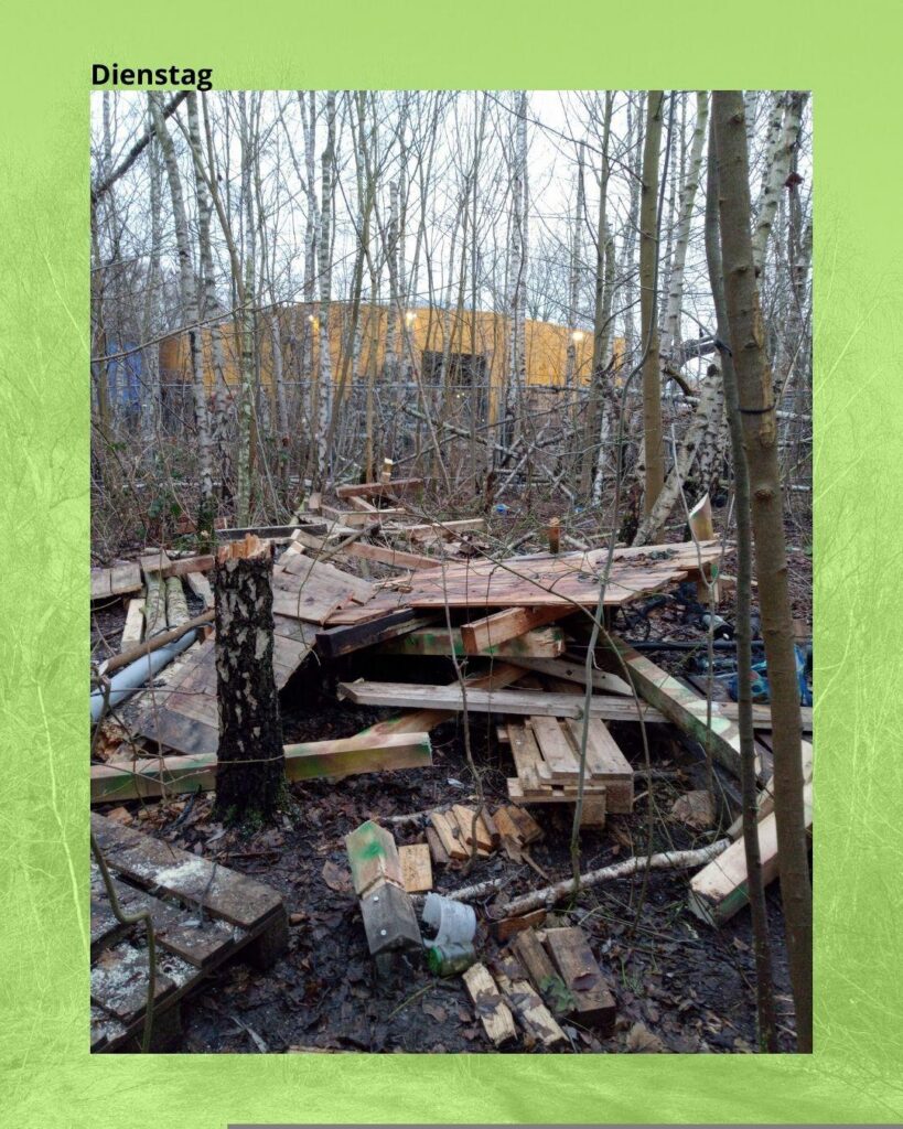 Die Überbleibsel einer zerstörten Stelzenstruktur. Neben den kaputten Plattformen und Balken sind auch Stümpfe von gefällten Bäumen zu sehen. 