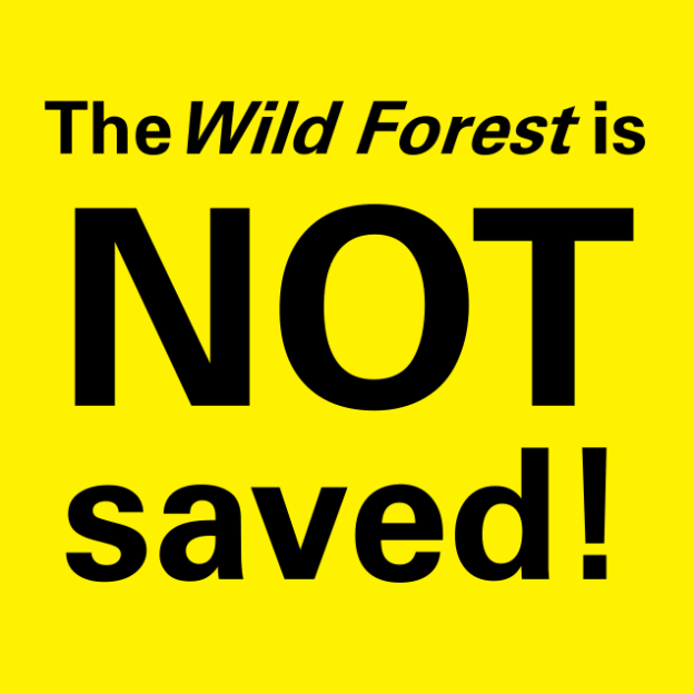 the Wild Forest is not saved!